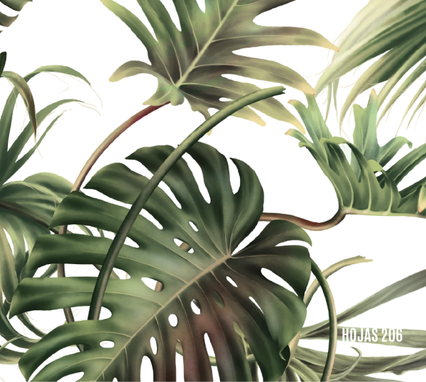 206 - SMALL - RAMAS Y HOJAS FONDO BLANCO