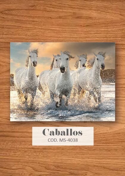 Vinilo para Notebook SKIN - CABALLOS - 4038