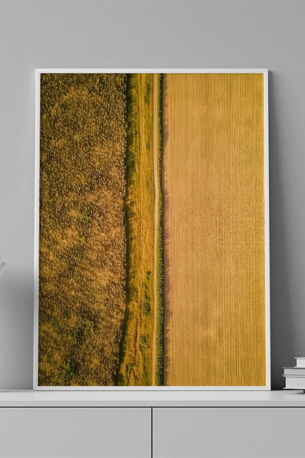 LAMINAS - AERIAL PAISAJE- 0002