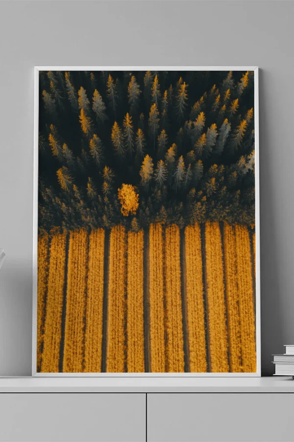 VINILO DECORATIVO - LAMINA AERIAL PAISAJE BOSQUE - 0003