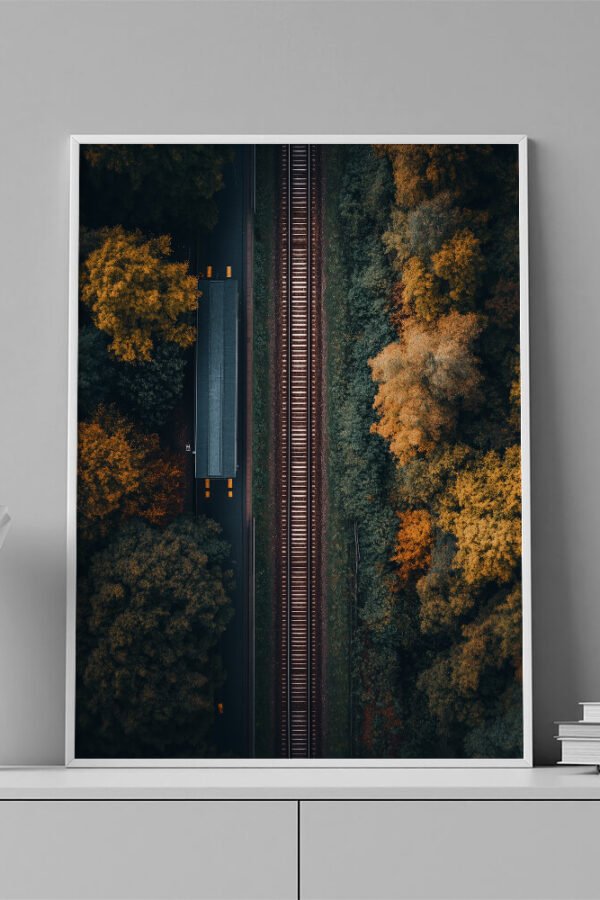 LAMINAS - AERIAL PAISAJE RIEL- 0008