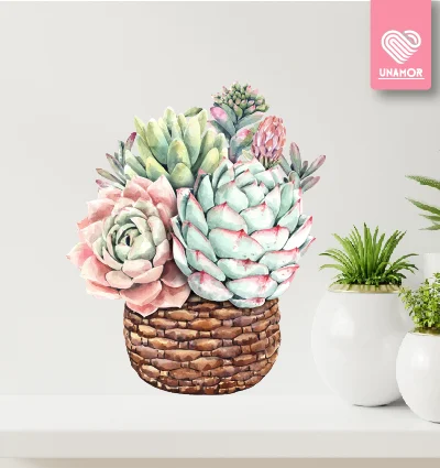 VINILO DECORATIVO - SUCULENTA EN CANASTO - 1204