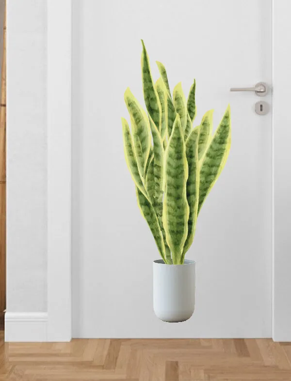 VINILO DECORATIVO - MACETA MARTINA - 9016