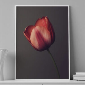 LAMINAS - FLOR - 0074