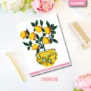 VINILO DECO INDIVIDUALES - LIMONERO