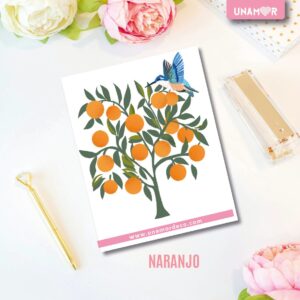 VINILO DECO INDIVIDUALES - NARANJO