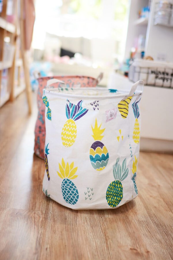 ORGANIZADOR DE ROPA ANANÁ