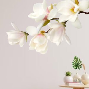 807 - MAGNOLIA BLANCA