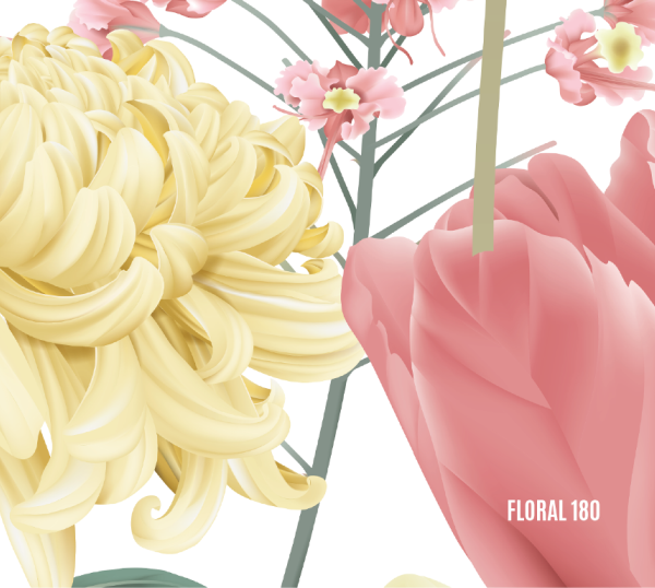 Vinilo para Notebook SKIN - FLORAL FONDO BLANCO - 178