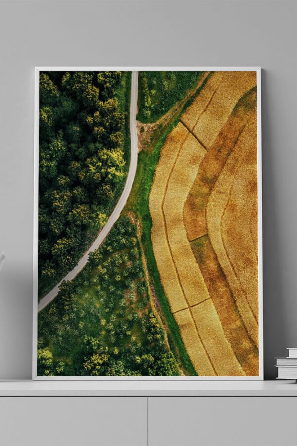 LAMINAS - AERIAL PAISAJE CAMPO - 0001