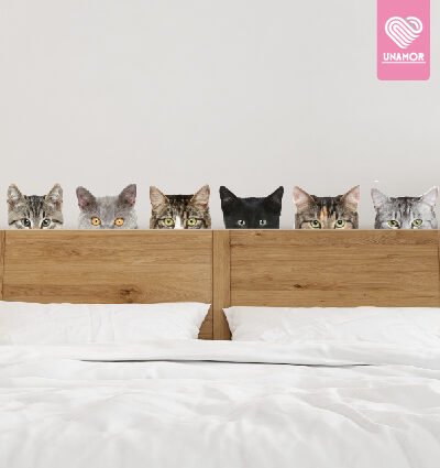 VINILO DECORATIVO - GATITOS CURIOSOS - 57604