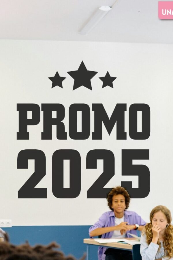 VINILO DECORATIVO - VINILO DECO  PROMO ESTRELLADA 2025 O 2026  - EGR 20261