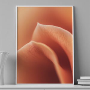 LAMINAS - FLOR - 0051