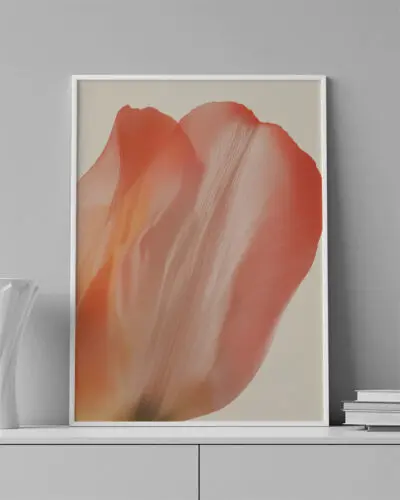 VINILO DECORATIVO - LAMINA FLOR - 0053