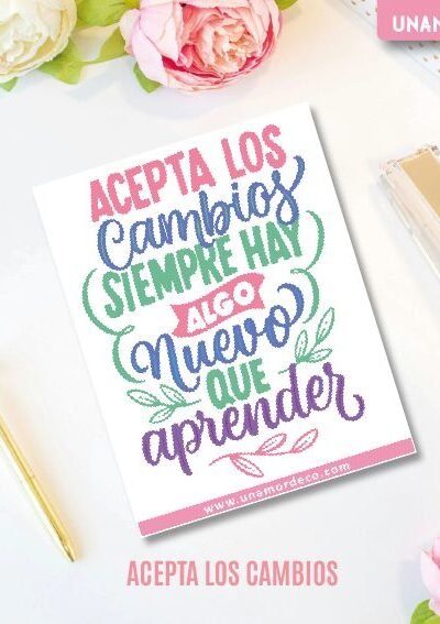 VINILO DECO INDIVIDUALES - ACEPTA LOS CAMBIOS