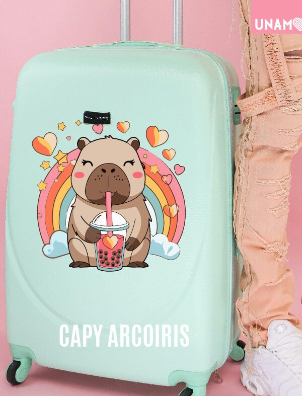 VINILO DECORATIVO - CAPPY ARCOIRIS - 10454