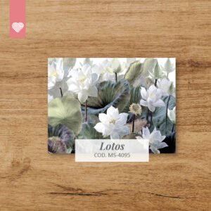 Vinilo para Notebook SKIN - LOTOS - 4095
