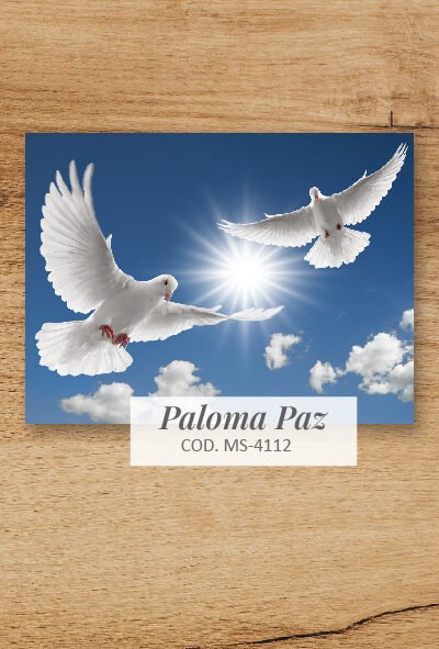 Vinilo para Notebook SKIN - PALOMA PAZ - 4112