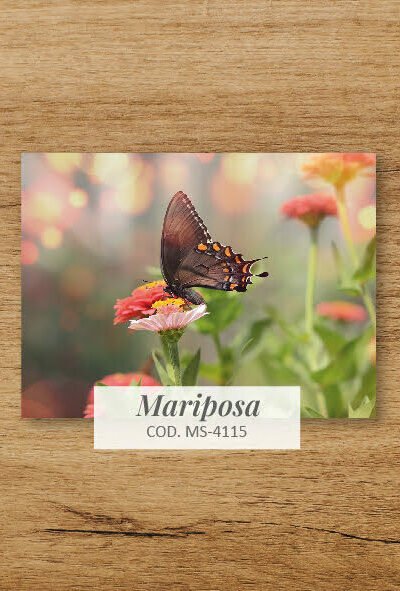 MS - 4029 - MARIPOSA FLORAL - SMALL - NOTEBOOK