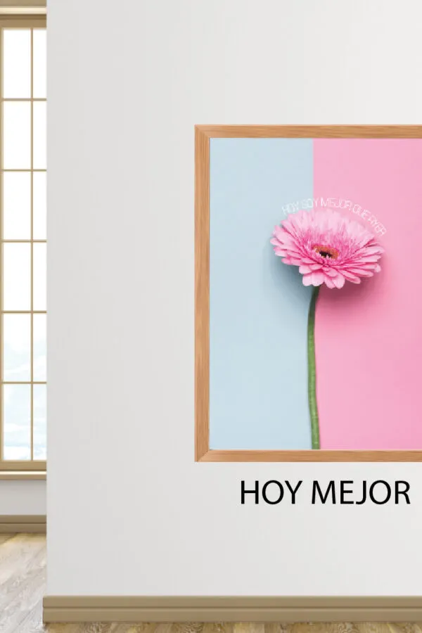 VINILO SIMIL CUADRO - HOY MEJOR