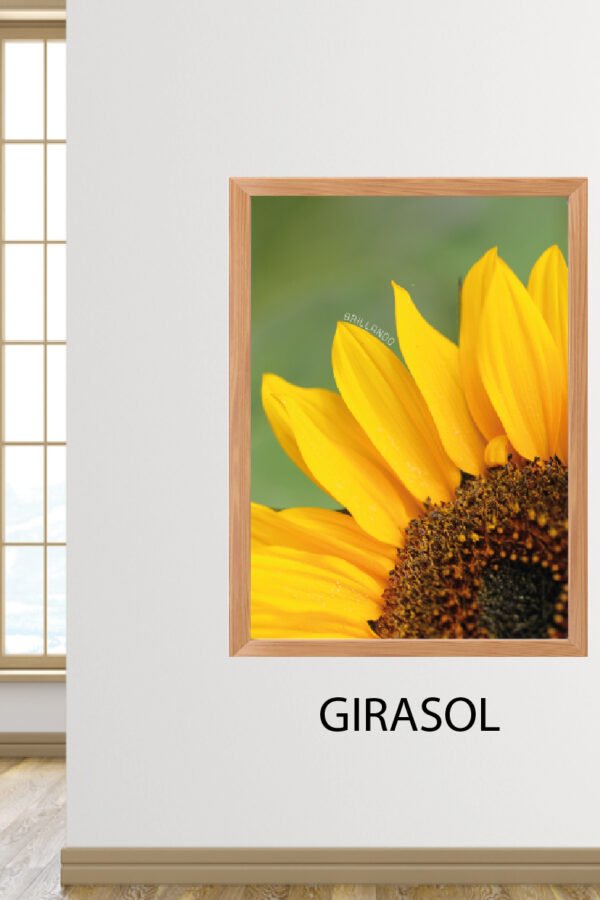 VINILO SIMIL CUADRO - GIRASOL