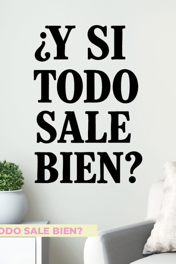 Y SI TODO SALE BIEN?