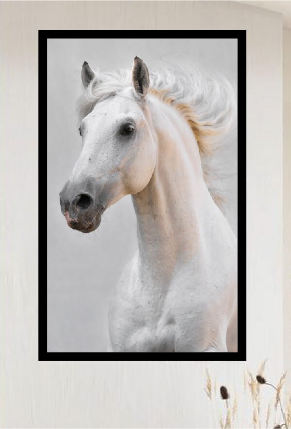 VINILO DECORATIVO - FOTO CABALLO - 8232